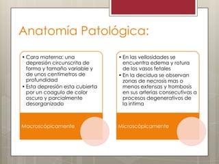 Anatomía Patológica:
• Cara materna: una
depresión circunscrita de
forma y tamaño variable y
de unos centímetros de
profundidad
• Esta depresión esta cubierta
por un coagulo de color
oscuro y parcialmente
desorganizado

• En las vellosidades se
encuentra edema y rotura
de los vasos fetales
• En la decidua se observan
zonas de necrosis mas o
menos extensas y trombosis
en sus arterias consecutivas a
procesos degenerativos de
la intima

Macroscópicamente

Microscópicamente

 