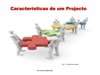 Características de um Projecto
Prof° Doutora Brigida Singo
Fig. 3.1: espírito de equipa
 