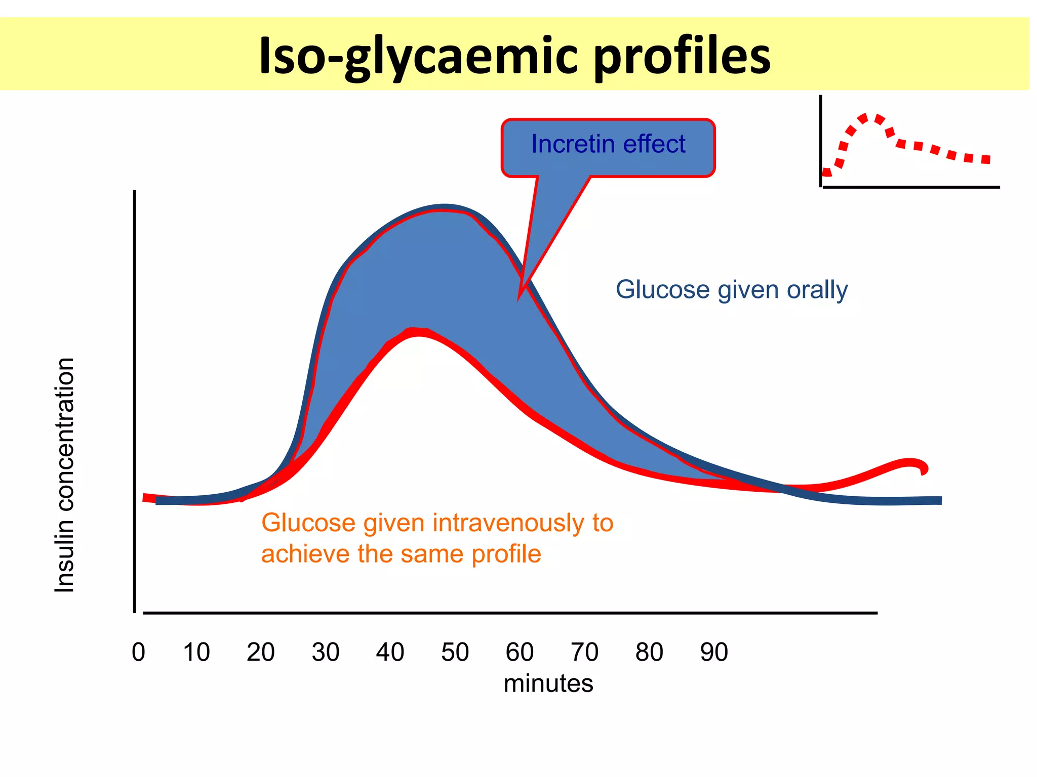 Iso-glycaemic profilesInsulinconcentration
0 10 20 30 40 50 60 70 80 90
minutes
Glucose given orally
Glucose given intravenously to
achieve the same profile
Incretin effect
 