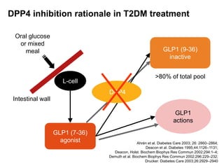 GLP1 (7-36)
agonist
DPP4 inhibition rationale in T2DM treatment
Oral glucose
or mixed
meal GLP1 (9-36)
inactive
GLP1
actions
>80% of total pool
Intestinal wall
Ahrén et al. Diabetes Care 2003; 26: 2860–2864;
Deacon et al. Diabetes 1995;44:1126–1131;
Deacon, Holst. Biochem Biophys Res Commun 2002;294:1–4;
Demuth et al. Biochem Biophys Res Commun 2002;296:229–232;
Drucker. Diabetes Care 2003;26:2929–2940
L-cell
DPP4
 