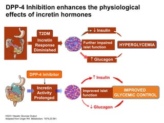 HGO= Hepatic Glucose Output
Adapted from Unger RH. Metabolism. 1974;23:581.
 Insulin
 Glucagon
IMPROVED
GLYCEMIC CONTROL
Incretin
Activity
Prolonged
Improved islet
function
DPP-4 Inhibitor
 Insulin
 Glucagon
HYPERGLYCEMIA
Incretin
Response
Diminished
Further impaired
islet function
T2DM
DPP-4 Inhibition enhances the physiological
effects of incretin hormones
 