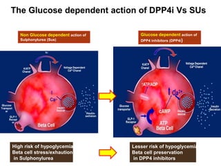 Non Glucose dependent action of
Sulphonylurea (Sus)
Glucose dependent action of
DPP4 inhibitors (DPP4i)
High risk of hypoglycemia &
Beta cell stress/exhaution
in Sulphonylurea
Lesser risk of hypoglycemia &
Beta cell preservation
in DPP4 inhibitors
The Glucose dependent action of DPP4i Vs SUs
Lesser chances of Hypoglycemia & lesser Beta cell stress
 