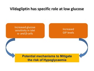 Vildagliptin has specific role at low glucose
Increased
GIP levels
Increased glucose
sensitivity in islet
α- and β-cells
Potential mechanisms to Mitigate
the risk of Hypoglycaemia
 