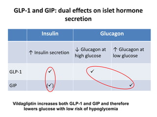 Insulin Glucagon
↑ Insulin secretion
↓ Glucagon at
high glucose
↑ Glucagon at
low glucose
GLP-1  
GIP () 
Vildagliptin increases both GLP-1 and GIP and therefore
lowers glucose with low risk of hypoglycemia
GLP-1 and GIP: dual effects on islet hormone
secretion
 
