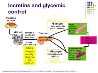 Incretins and glycemic
control
Adapted from 7. Drucker DJ. Cell Metab. 2006;3:153–165. 8. Miller S, St Onge EL. Ann Pharmacother 2006;40:1336-1343.
Active
GLP-1 and GIP
Release of
incretin gut
hormones
Pancreas
Blood
glucose
control
GI tract
 Glucagon
from alpha cells
(GLP-1)
Glucose
dependent
Alpha cells
Increased insulin
and decreased
glucagon
reduce
hepatic
glucose output
Glucose dependent
 Insulin
from beta cells
(GLP-1 and GIP)
Beta cells
Insulin
increases
peripheral
glucose
uptake
Ingestion
of food
DPP-4
enzyme
rapidly
degrad
es
incretins
 