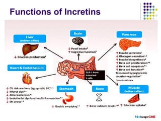 Functions of Incretins
 