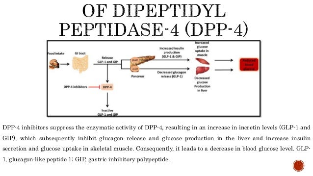 dpp 4 inhibitors dpp 4 inhibitors