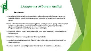 1.Araştırma ve Durum Analizi
Araştırma
 Kanatlı et sektörü ile ilgili üretim ve tüketim sağlamak adına Gıda Tarım ve Hayvancılık
Bakanlığı, 1930’lu yıllarda başlayan araştırma kurumları ile kanatlı sektörüne önderlik
yapmış
 Özel sektör kanatlı üretiminin cazibesini görerek büyük yatırımlara gitmiş, Bakanlık kanatlı
sektöründe yönlendirici görevini önemli ölçüde tamamlamış, kanatlı üretiminden
(Araştırmaya yönelik üretim hariç) yavaş yavaş çekilmiştir.
 Ülkemizde geçimini kanatlı sektöründen elde insan sayısı yaklaşık 1,5 milyon (aileleri ile
birlikte) kişidir.
 Sektörün yıllık cirosu yaklaşık 6 milyar doları aşmaktadır.
 Dünya üretimi ile kıyaslandığında Ülkemiz, tavuk eti ve tavuk yumurtası üretiminde 10.
sırada yer almıştır.
 Avrupa üretimi ile kıyaslandığında ise Ülkemiz, tavuk eti üretiminde 2. Sıradadır.
 