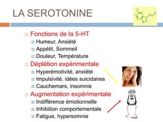 LA SEROTONINE
 Fonctions de la 5-HT
 Humeur, Anxiété
 Appétit, Sommeil
 Douleur, Température
 Déplétion expérimentale
 Hyperémotivité, anxiété
 Impulsivité, idées suicidaires
 Cauchemars, insomnie
 Augmentation expérimentale
 Indifférence émotionnelle
 Inhibition comportementale
 Fatigue, hypersomnie
 
