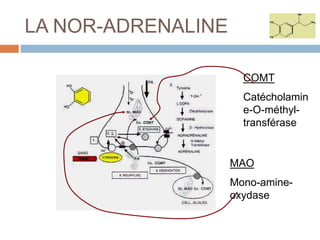 LA NOR-ADRENALINE
COMT
Catécholamin
e-O-méthyl-
transférase
MAO
Mono-amine-
oxydase
 