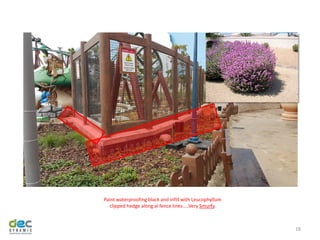 18
Paint waterproofing black and infill with Leucophyllum
clipped hedge along al fence lines…..Very Smurfy.
 