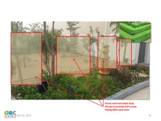 November 26, 2017 42
Prune and train back drop
shrubs to provide full screen
hiding BOH sand area
 