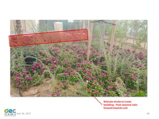 November 26, 2017 44
Relocate shrubs to create
backdrop. Push seasonal color
forward towards curb
 