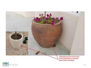 November 26, 2017 45
Exchange pots from this terrace
to the small white un-themed
pots in the arrival plaza.
 