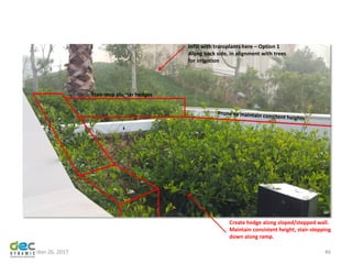 November 26, 2017 46
Create hedge along sloped/stepped wall.
Maintain consistent height, stair-stepping
down along ramp.
Infill with transplants here – Option 1
Along back side, in alignment with trees
for irrigation
Stair-step planter hedges
 