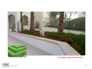 November 26, 2017 48
Create clipped hedge, more formal look
 