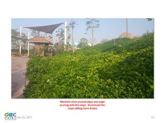 November 26, 2017 52
Maintain clean pruned edges and angle
pruning with the slope. Accentuate the
slope adding more drama
 