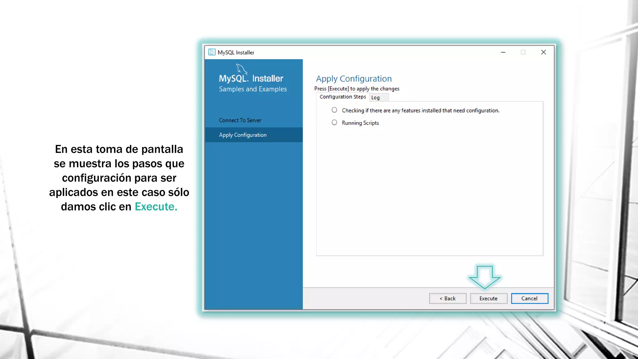 En esta toma de pantalla
se muestra los pasos que
configuración para ser
aplicados en este caso sólo
damos clic en Execute.
 