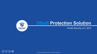 DDoS Protection Solution
#Terabit Security LLC, 2016
2015 © Terabit Security - All rights reserved
 