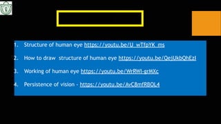 Comprehensive Study of the Human Eye and Its Functions for Class X | PDF