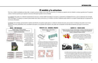 NEXUS – REM KOOLHAAS PROYECTO 100 – UNIANDES, PRODESA HABITAT 67 – MOSHE SAFDIE
El módulo y la estructura 
Partir de un módulo incambiable para desarrollar un proyecto, pareciera implicar cierto orden en la estructura. Sin embargo, la repetición entre los módulos no siempre garantiza esto. El arquitecto
cuenta con diversas opciones para organizar la estructura del proyecto girando en torno al módulo.
 
La circulación: Esta puede ser un elemento fundamental de la estructura, teniendo doble funcionalidad en el proyecto y manteniendo la estabilidad del mismo a partir de elementos tanto verticales
como horizontales. Sin embargo, la circulación puede también estar anexa a la estructura y no contribuir a la misma o finalmente puede también ser un espacio residual dado por la organización de
la estructura del proyecto.
 
La vivienda: Como estrategia, aprovechando la repetición del elemento, el arquitecto puede generar un módulo de vivienda estructural y auto portante. Sin embargo; este puede no ser el único
elemento estructural y dependiendo de las necesidades del proyecto y los propósitos del arquitecto, este puede estar acompañado de diversidad de elementos para lograr una estructura
compuesta.
El módulo de la vivienda exige una planta libre de estructura
para desarrollar adecuadamente las actividades según el GIV.
Esto implica que la estructura debe ser perimetral al módulo y
continua verticalmente para garantizar estabilidad. Esto
genera una serie de viviendas adosadas, donde el mismo
módulo define la estructura.
Viviendas adosadas: El módulo define la
estructura.
La estructura del primer piso
es una retícula, compuesta
por los muros perimetrales
que cierran el proyecto hacia
la calle, los módulos
apareados de vivienda y las
columnas centrales que
soportan la plataforma del
segundo piso.
El módulo hace parte de la
estructura pero no la define
La estructura del segundo piso
esta definida por los módulos
de las viviendas que se adosan
una a la otra, eliminando las
circulaciones y las columnas
aisladas.
El módulo define la estructura
Viviendas pareadas / Viviendas adosadas:
La estructura cambia dependiendo del módulo de la vivienda, pero
mantiene la continuidad vertical.
Los módulos de primer nivel (grises) se apoyan sobre una plataforma en concreto,
los de 2ndo nivel (amarillos) se apoyan sobre la primera gran viga que funciona a
su vez como circulación del proyecto y los de tercer nivel se apoyan sobre la
segunda viga. Además los módulos más lejanos a la estructura central se soportan
entre si hasta transmitir las cargas, esto implica la necesidad de una estructura
piramidal donde el peso vaya disminuyendo mientras el proyecto crece en altura.
La estructura esta compuesta de dos sistemas que
colaboran entre si para soportar el edificio. Los módulos
auto portantes que encajan entre si y la gran estructural
de vigas y columnas en concreto a la cual se transmiten
todas las cargas.
Módulos estructurales / Estructura central portante: La estructura central puede soportarse
de forma independiente mientras que los módulos no, sin embargo para la existencia del
proyecto la combinación de ambas es necesria.
INTRODUCCIÓN	
  
10
 