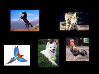 A born sinner!
Yes, accordning to the Bible and Christian teaching
All Mankind inherits at conception the Fall of Adam & Eve
 