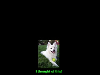 Law of Indemnity
Cain & Abel
• Mind/Body struggle
• 2000 years Judaism
• 2000 years Christianity & Islam
• 1st WW
• 2nd WW
• Communism – Democracy
Global
 