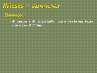 Eliminação: 
G. nasalis e G. intestinalis: saem direto nas fezes com o peristaltismo. Miíases – Gasterophilus  