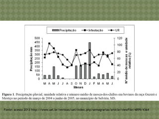 Fonte: acesso 2013 http://www.uel.br/revistas/uel/index.php/semagrarias/article/viewFile/4899/4364  
