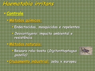 Haematobia irritans 
Controle 
Métodos químicos: 
Endectocidas, mosquicidas e repelentes 
Desvantagens: impacto ambiental e resistência 
Métodos naturais: 
Besouro rola-bosta (Digitonthophagus gazella) 
Cruzamento industrial: zebu x europeu  
