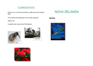 CURIOSITATS
El Kiwi, és un animal que sembla un pollet amb el bec bastant
llarg.
                                                                     NOVA ZELANDA
En la colònia de Alcatracses hi han moltes cigonyes.            MAPES:
Glaciar Fox.

La planta més curiosa és la Pohutukawa.




                                            Cigonyes


               Kiwi
 
