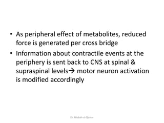 • As peripheral effect of metabolites, reduced
force is generated per cross bridge
• Information about contractile events at the
periphery is sent back to CNS at spinal &
supraspinal levels motor neuron activation
is modified accordingly
Dr. Misbah-ul-Qamar
 