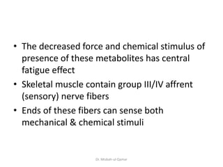 • The decreased force and chemical stimulus of
presence of these metabolites has central
fatigue effect
• Skeletal muscle contain group III/IV affrent
(sensory) nerve fibers
• Ends of these fibers can sense both
mechanical & chemical stimuli
Dr. Misbah-ul-Qamar
 
