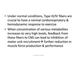 • Under normal conditions, Type III/IV fibers are
crucial to have a normal cardiorespiratory &
hemodynamic response to exercise
• When concentration of various metabolites
increases to very high levels, feedback from
these fibers to CNS can lead to inhibition of
motor unit recruitment further reduction in
muscle force production & performance
Dr. Misbah-ul-Qamar
 