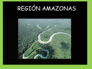 REGIÓN AMAZONAS 