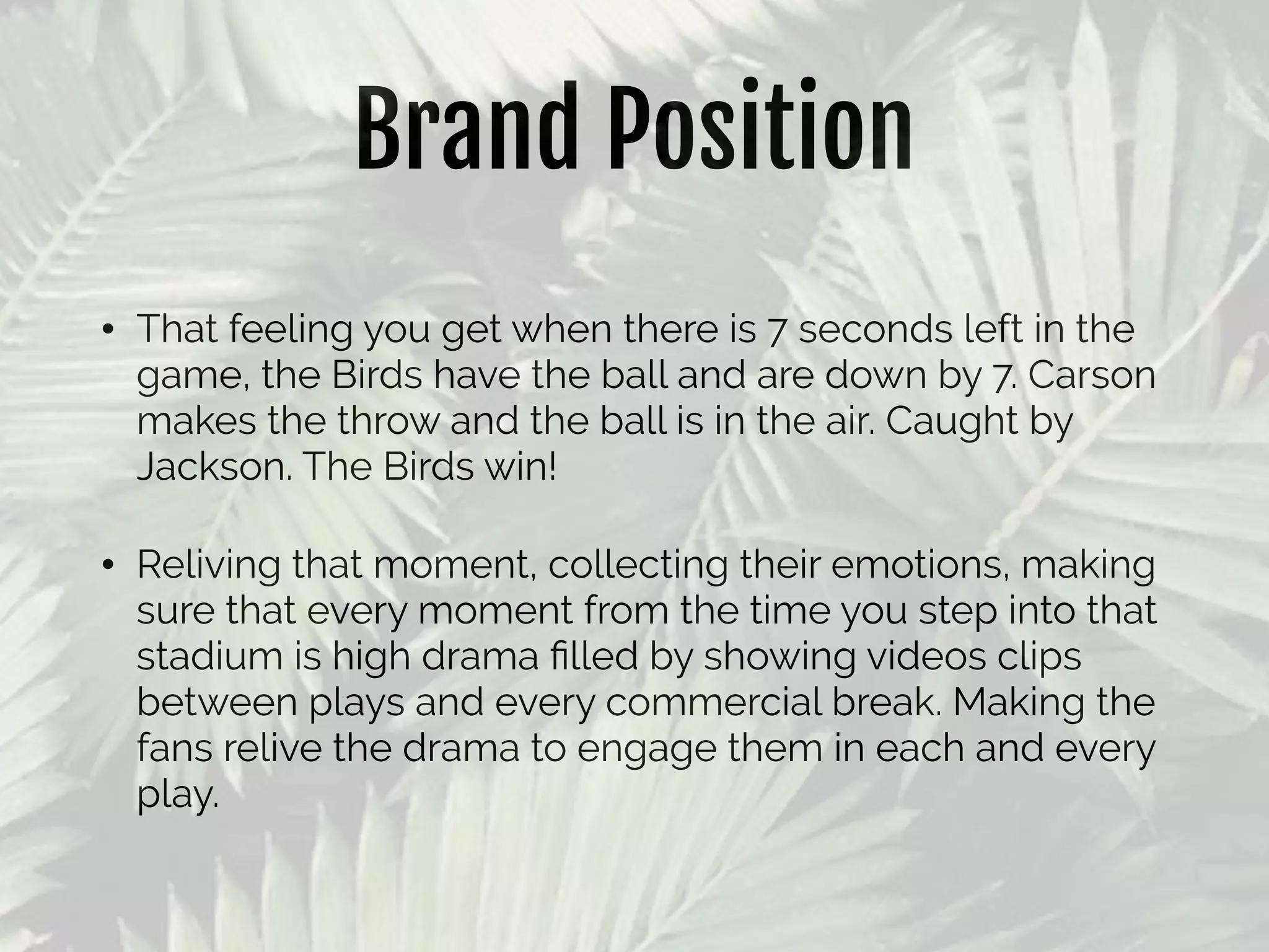 Brand Position
• That feeling you get when there is 7 seconds left in the
game, the Birds have the ball and are down by 7. Carson
makes the throw and the ball is in the air. Caught by
Jackson. The Birds win!
• Reliving that moment, collecting their emotions, making
sure that every moment from the time you step into that
stadium is high drama ﬁlled by showing videos clips
between plays and every commercial break. Making the
fans relive the drama to engage them in each and every
play.
 