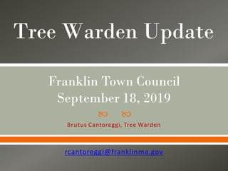 Tree Warden Update
Franklin Town Council
September 18, 2019
🙠 🙠
Brutus Cantoreggi, Tree Warden
rcantoreggi@franklinma.gov
 