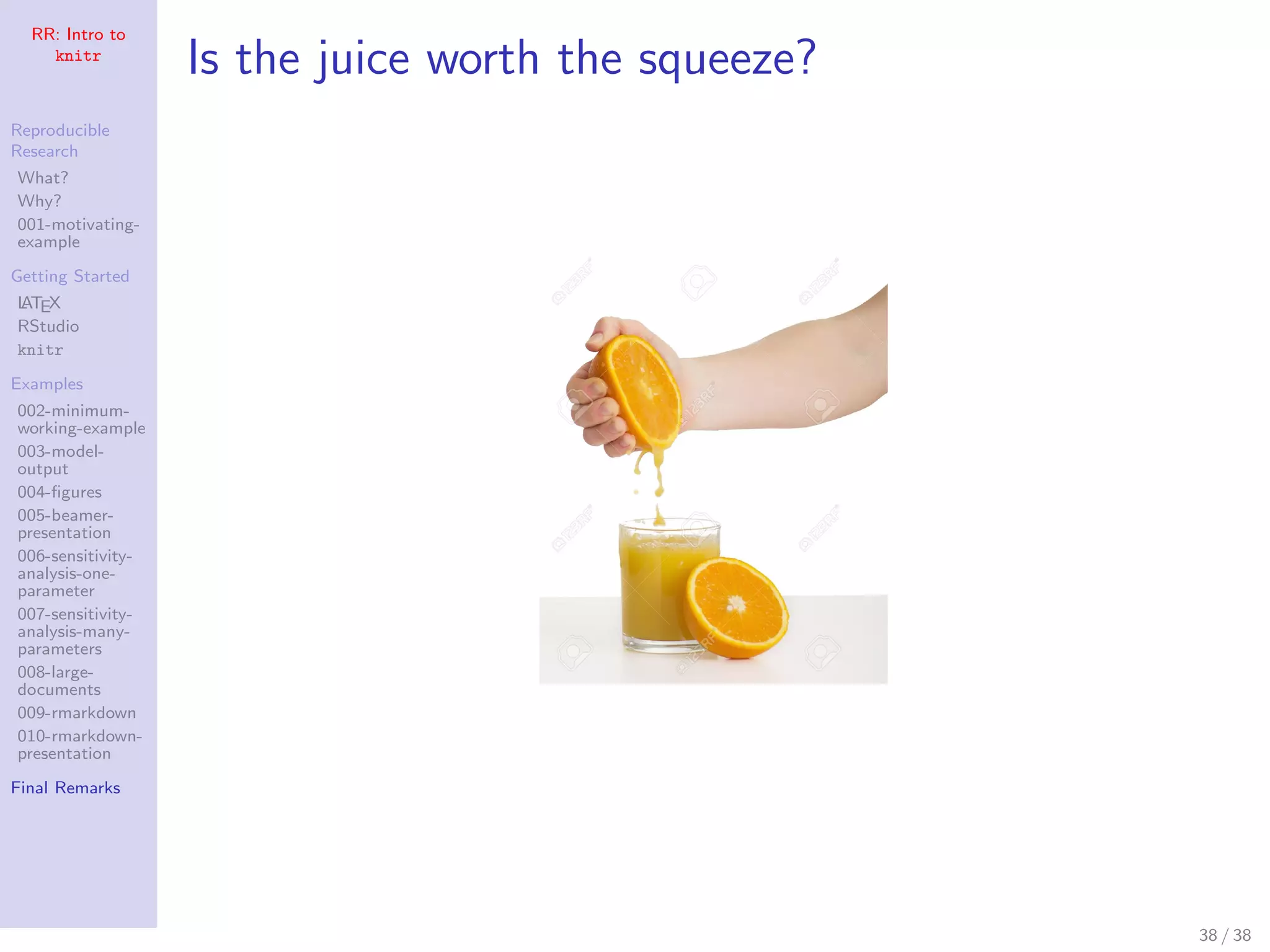 RR: Intro to
knitr
Reproducible
Research
What?
Why?
001-motivating-
example
Getting Started
LATEX
RStudio
knitr
Examples
002-minimum-
working-example
003-model-
output
004-ﬁgures
005-beamer-
presentation
006-sensitivity-
analysis-one-
parameter
007-sensitivity-
analysis-many-
parameters
008-large-
documents
009-rmarkdown
010-rmarkdown-
presentation
Final Remarks
Is the juice worth the squeeze?
38 / 38
 