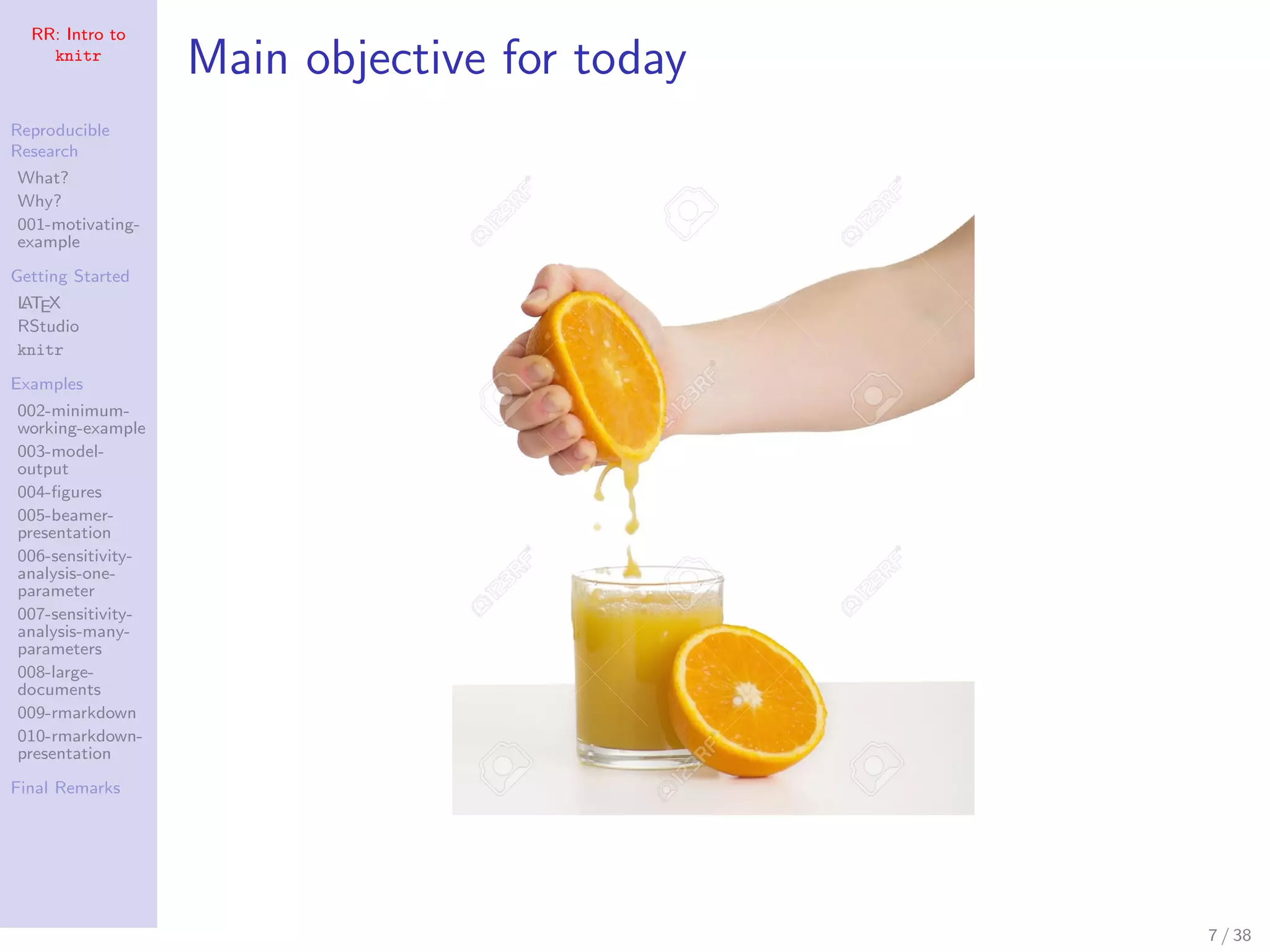 RR: Intro to
knitr
Reproducible
Research
What?
Why?
001-motivating-
example
Getting Started
LATEX
RStudio
knitr
Examples
002-minimum-
working-example
003-model-
output
004-ﬁgures
005-beamer-
presentation
006-sensitivity-
analysis-one-
parameter
007-sensitivity-
analysis-many-
parameters
008-large-
documents
009-rmarkdown
010-rmarkdown-
presentation
Final Remarks
Main objective for today
7 / 38
 