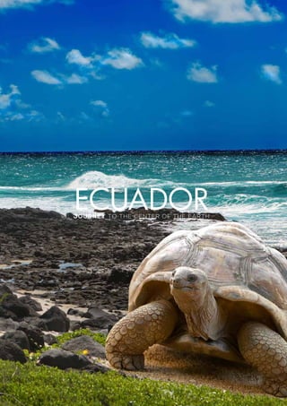 Journey to the Center of the Earth
Ecuador
 