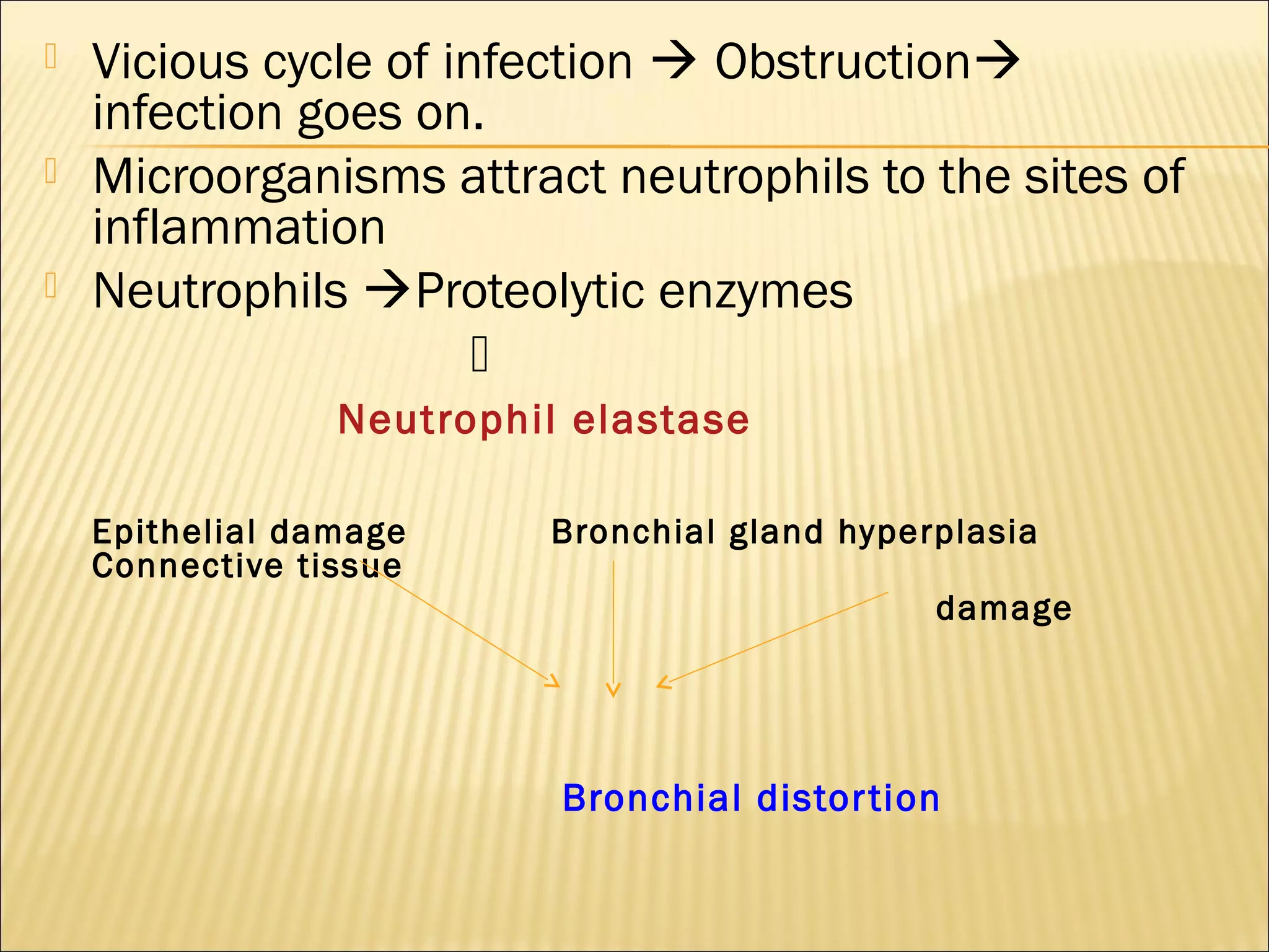  Vicious cycle of infection  Obstruction
infection goes on.
 Microorganisms attract neutrophils to the sites of
inflammation
 Neutrophils Proteolytic enzymes

Neutrophil elastase
Epithelial damage Bronchial gland hyperplasia
Connective tissue
damage
Bronchial distortion
 