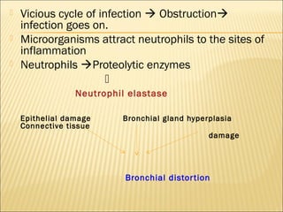  Vicious cycle of infection  Obstruction
infection goes on.
 Microorganisms attract neutrophils to the sites of
inflammation
 Neutrophils Proteolytic enzymes

Neutrophil elastase
Epithelial damage Bronchial gland hyperplasia
Connective tissue
damage
Bronchial distortion
 
