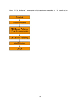 17
Figure 5: KBI Biopharma’s approach to mAb downstream processing for FIH manufacturing.
 