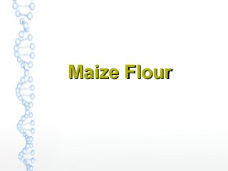 Maize FlourMaize Flour
 