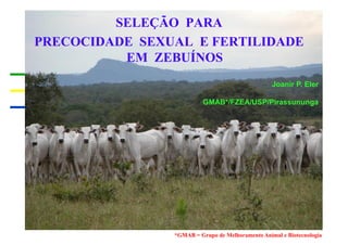 SELEÇÃO PARA
PRECOCIDADE SEXUAL E FERTILIDADE
          EM ZEBUÍNOS
                                                  Joanir P. Eler

                          GMAB*/FZEA/USP/Pirassununga




                *GMAB = Grupo de Melhoramento Animal e Biotecnologia
 