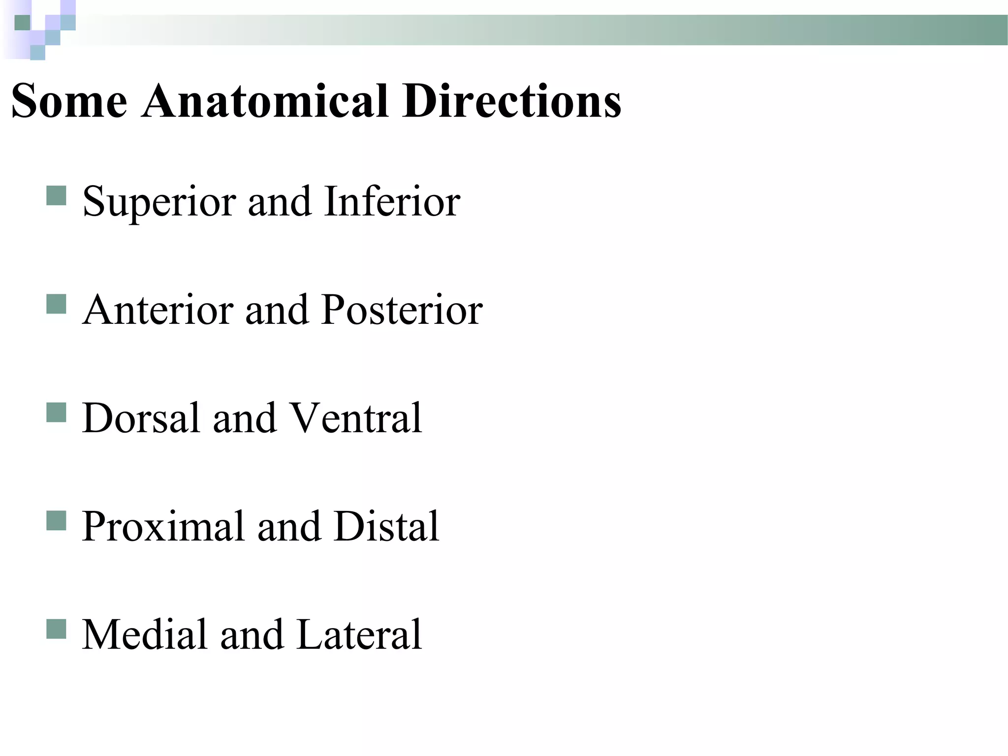 Introduction to Anatomy | PPT