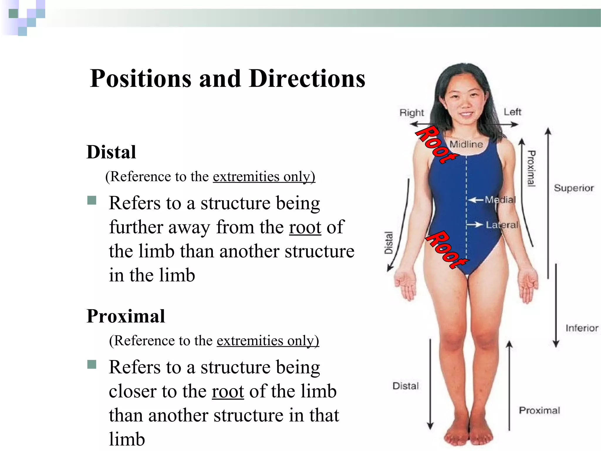 Introduction to Anatomy | PPT