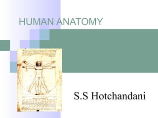 HUMAN ANATOMY
S.S Hotchandani
 