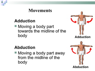 Introduction to Anatomy | PPT