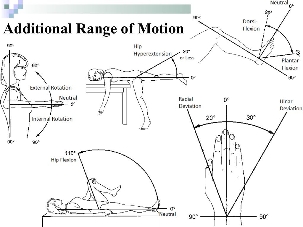 Introduction to Anatomy